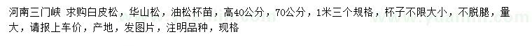 求購白皮松、華山松、油松