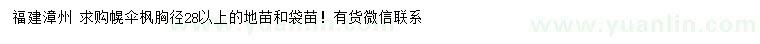 求購胸徑28公分以上幌傘楓