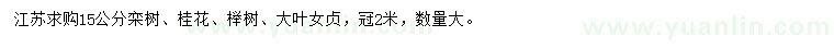 求購(gòu)欒樹(shù)、桂花、櫸樹(shù)等