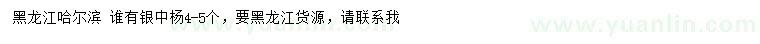 求購4-5公分銀中楊