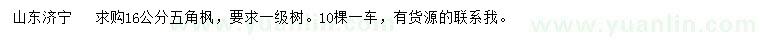 求購16公分五角楓