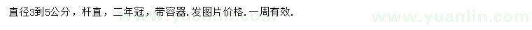 求購直徑3-5公分樹狀月季