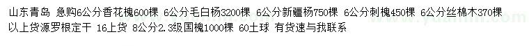 求購香花槐、毛白楊、新疆楊等