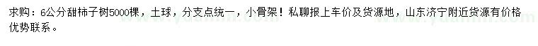 求購6公分甜柿子樹