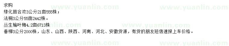 求購(gòu)合歡、法桐、叢生榆葉梅等