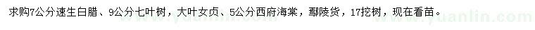 求購速生白蠟、七葉樹、大葉女貞等