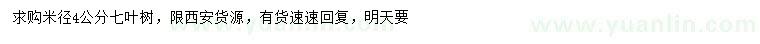 求購米徑4公分七葉樹