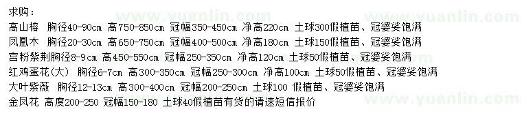 求購高山榕、鳳凰木、宮粉紫荊等