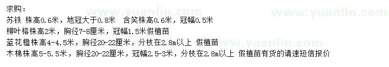 求購(gòu)蘇鐵、柳葉榕、藍(lán)花楹等