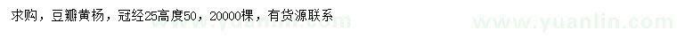 求購冠徑25公分豆瓣黃楊