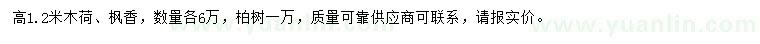 求購(gòu)木荷、楓香、柏樹