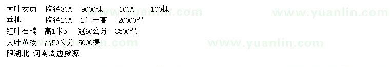 求購大葉女貞、垂柳、紅葉石楠等