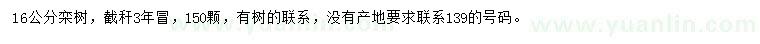 求購16公分欒樹