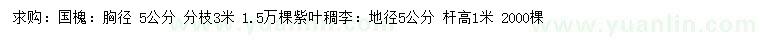 求購胸徑5公分國槐、地徑5公分紫葉稠李