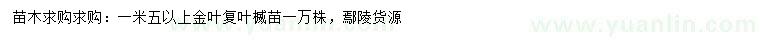 求購(gòu)1.5米以上金葉復(fù)葉楲苗
