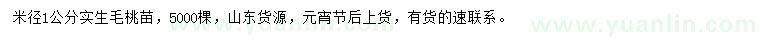 求購米徑1公分實生毛桃苗