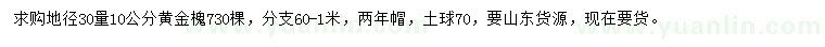 求購地徑30量10公分黃金槐