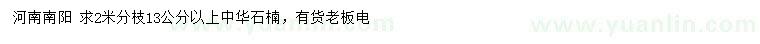求購13公分以上中華石楠