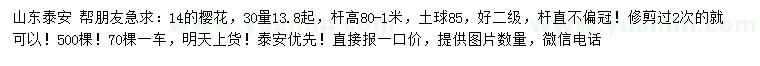 求購(gòu)30量14公分櫻花