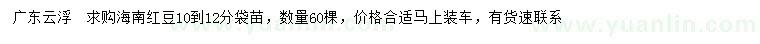 求購10-12公分海南紅豆