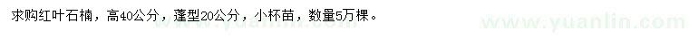 求購高40公分紅葉石楠