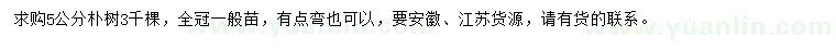 求購5公分樸樹