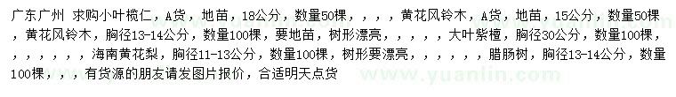 求購小葉欖仁、黃花風(fēng)鈴木、大葉紫檀等