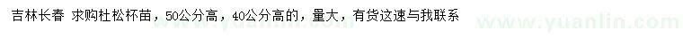 求購高40、50公分杜松苗