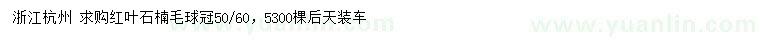 求購冠幅50、60公分紅葉石楠毛球