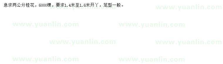 求購2公分桂花