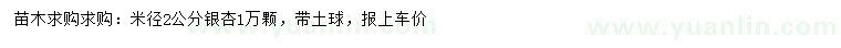 求購米徑2公分銀杏