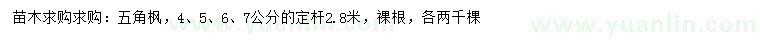 求購4、5、6、7公分五角楓