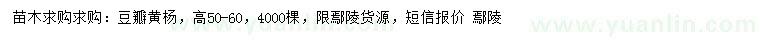 求購(gòu)高50-60公分豆瓣黃楊