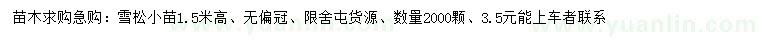 求購高1.5米雪松小苗