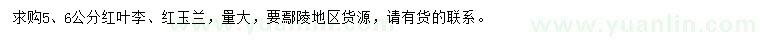 求購5、6公分紅葉李、紅玉蘭