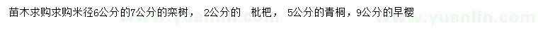 求購欒樹、枇杷、青桐等