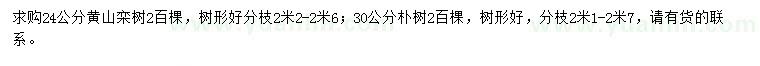 求購24公分黃山欒樹、30公分樸樹