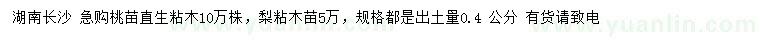 求購(gòu)?fù)亮?.4公分桃苗直生粘木、梨粘木苗