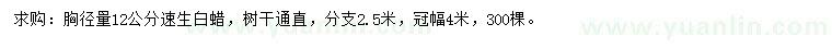 求購胸徑量12公分速生白蠟
