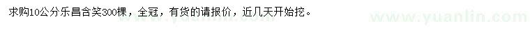 求購10公分樂昌含笑