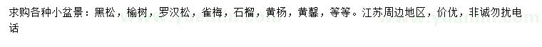 求購(gòu)黑松、榆樹(shù)、羅漢松等
