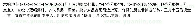 求購(gòu)地徑30處量7、8、9、10、11、12、15、18公分紅葉李