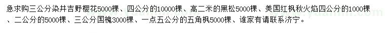 求購染井吉野櫻花、黑松、美國紅楓秋火焰等