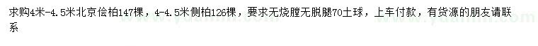 求購4-4.5米北京儈柏、側(cè)柏