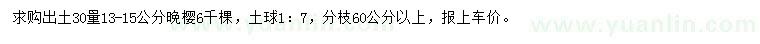 求購出土30量13-15公分晚櫻