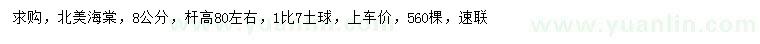 求購8公分北美海棠
