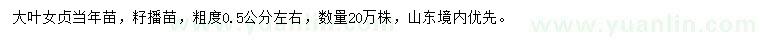 求購大葉女貞當(dāng)年苗