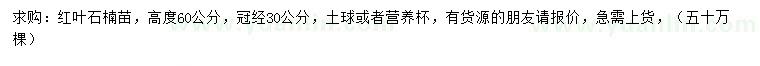求購高60公分紅葉石楠苗