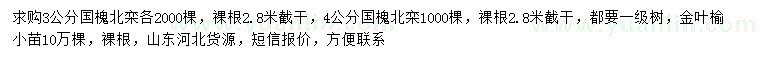 求購國槐、北欒、金葉榆