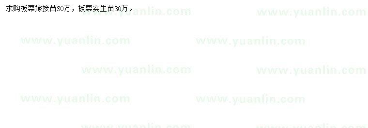 求購(gòu)板栗嫁接苗、板栗實(shí)生苗